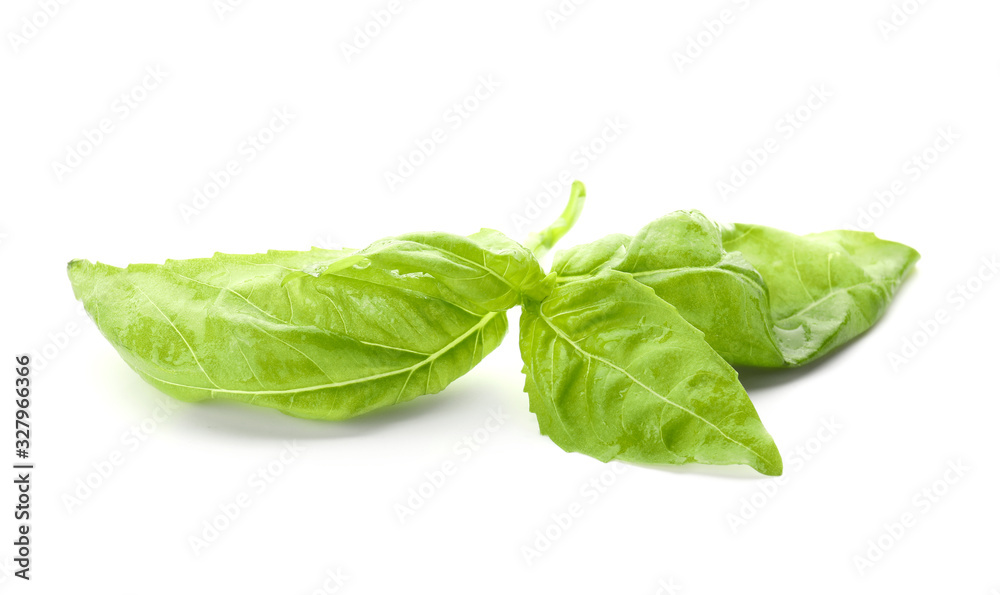 Fresh green basil leaves isolated on white