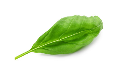 Fresh green basil leaf isolated on white