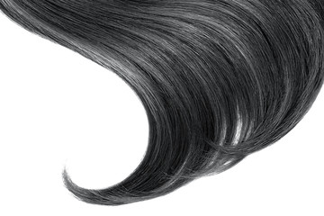 Wall Mural - Black hair on white, isolated