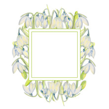 Romantic Spring Frame With Snowdrops On The Outer Edge On A White Isolated Background. Watercolor Illustration.
