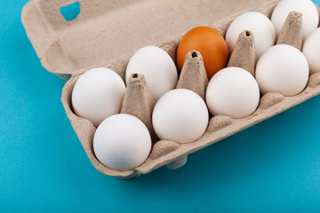 Egg Chicken eggs. Top view of an open gray box with white eggs Isolated on a blue background. One egg of a different color, a brown egg. The concept of focus, an outcast, not like everyone else, LGBT