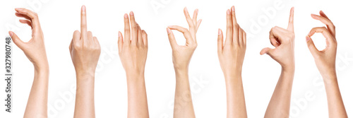 Cuadros en Lienzo A set of hand gesture isolated on white.
