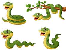 Set Of Funny Green Snake Cartoon. Vector Illustration