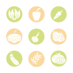 Wall Mural - healthy vegetables icon set, block detail style