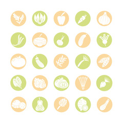 Wall Mural - healthy vegetables icon set, block style
