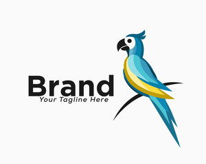 Wall Mural - colorful parrot sitting at branch logo design inspiration