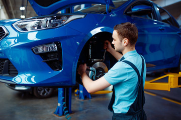 Wall Mural - Worker fix problem on vehicle, car service