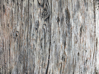 Close up of weathered grey textured wood 