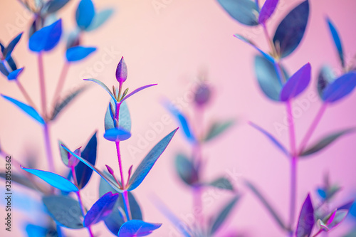 Fotomural Creative neon background with leaves