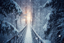 There Is A Rope Bridge Deep In The Winter Forest. Sauerland, North Rhine Westphalia. There Is A Light At The End Of The Bridge. Snowfall