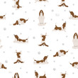 © a7880ss - Yoga dogs poses and exercises. Basset hound seamless pattern