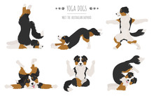 Yoga Dogs Poses And Exercises. Australian Shepherd Clipart