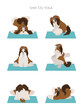 Yoga dogs poses and exercises poster design. Shih tzu clipart