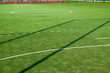 © diesirae - Closeup of green grass surface on soccer court