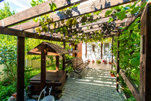 The Back Yard Of The Cottage With A Wooden Canopy Made Of Beams - Pergola. Grapes Grow On The Bars And Create A Shadow. Clusters Of Grapes Are Visible. There Are Paving Slabs On The Ground.