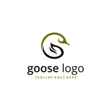 Goose Logo Design. Awesome Our Combination Goose With Letter G Logo. A Goose & Letter G Logotype.