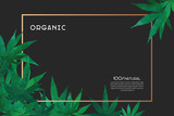 Fototapeta Kwiaty - Cannabis green leaves framework. Poster, flyer template universal design