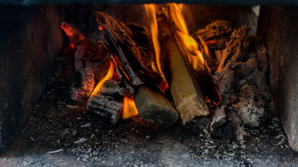 open fire, burning wood close-up