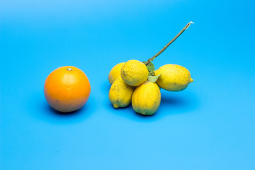 Oranges and lemons, Mediterranean fruits