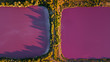© Yakov Knyazev/Stocksy - pink chemical lakes with a narrow path in-between