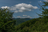 Fototapeta Na ścianę - Leaf green forests with mountains near Kysak station in summer hot day