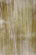 old green wood background