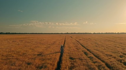 Aufkleber - aerial view drone flying above woman walking on the field with wheat sky at sunset