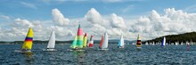 Regatta Panorama. Children Sailing Small Sailboats (Catamarans) With Colourful Sails. Australia. Commercial Use Image.