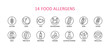 © Irene - 14 round food allergens icon. Vector set of 14 icons. Collection includes gluten, fish, egg, crustacean, peanut, lupin, soya, milk, trees nuts, mustard, sesame, sulphur dioxide.