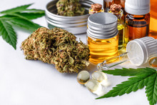 Green Leaves Of Medicinal Cannabis With Extract Oil Cbd.Medical Marijuana Flower Buds. Hemp Buds - Medical Marijuana Concept