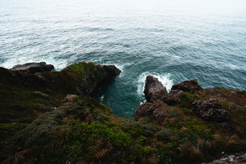 Rugged Green Coast