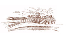 Rural Landscape With A Farm In Engraving Style/ Hand Drawn
