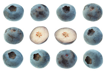 Wall Mural - Blueberry closeup on white collection