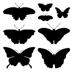 Vector set with butterfly silhouettes isolated on white background