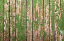 Old Wood Background With Green Moss