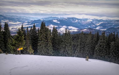 Wall Mural - Winter cloudy landscape of the Carpathian Mountains in Eastern Europe