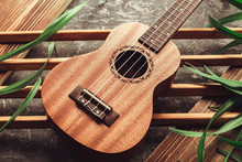Ukulele Lies On Concrete Background With Brown Wooden Sticks And Plant Leaves