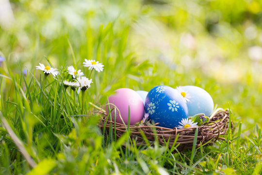 Fototapete - Happy Easter  -  Nest with easter eggs in grass on a sunny spring day - Easter decoration background