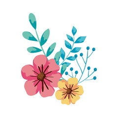 cute flowers with branches and leafs vector illustration design