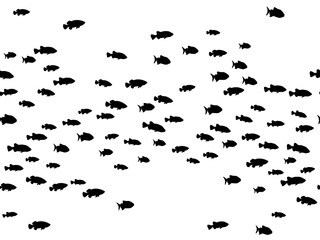 Wall Mural - Black school of fish swimming vector illustration