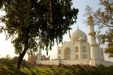 Wall Mural - Inde Agra Taj Mahal vu du jardin