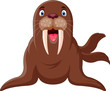 Cute cartoon walrus happy a smile
