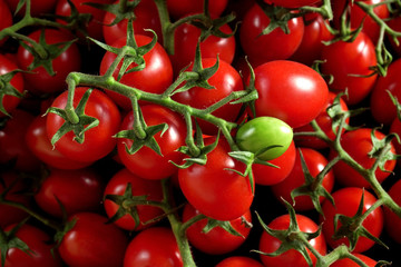 Heap of bright red small cherry tomatoes, one green unripe fruit in middle