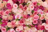 Roses in floral background