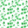 Watercolor seamless pattern of twigs with leaves.