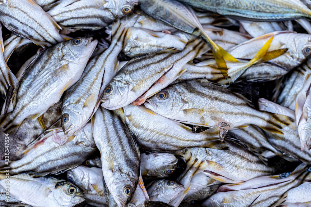 Marine fish contain nutrients that are essential to the body and can be ...