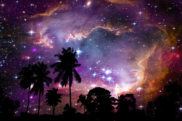 Wall Mural - nebula and galaxy on space back on silhouette coconut tree and night sky