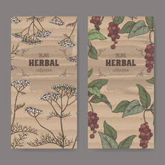 Wall Mural - Two color labels with Yarrow and Schisandra or magnolia vine sketch. Herbal collection series.