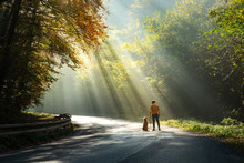 Man With A Dog Together. The Rays Of The Sun On The Road. Person And A Red Retriever On A Walk.