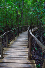 Wall Mural - Pedestrian bridge in mangroves.  Zanzibar island, Tanzania.